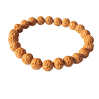 6 Mukhi Rudraksha Bracelet - Himalaya Rudraksha Anusandhan Kendra