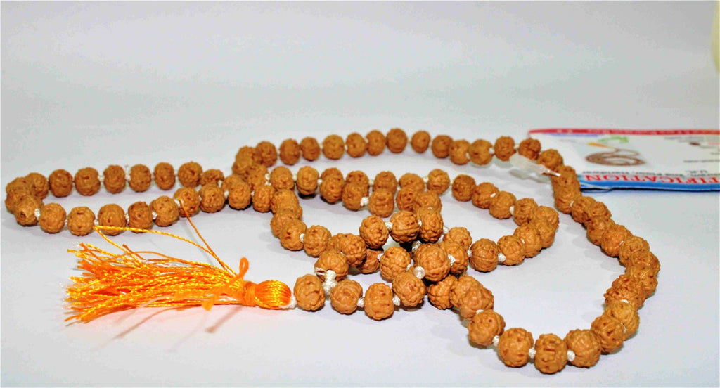 6 Mukhi/Face Rudraksha Mala - Himalaya Rudraksha Anusandhan Kendra