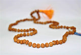 6 Mukhi/Face Rudraksha Mala - Himalaya Rudraksha Anusandhan Kendra