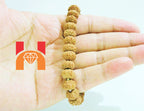 7 Face Rudraksha Bracelet - Himalaya Rudraksha Anusandhan Kendra