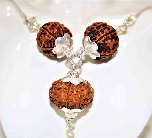 7,8 & 12 Mukhi Rudraksha Combination For (Founders & Businessmen) - Himalaya Rudraksha Anusandhan Kendra