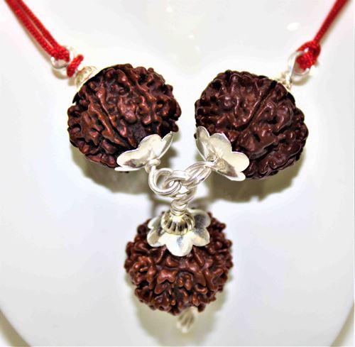 7,8 & 12 Mukhi Rudraksha Combination For (Founders & Businessmen) - Himalaya Rudraksha Anusandhan Kendra