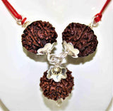 7,8 & 12 Mukhi Rudraksha Combination For (Founders & Businessmen) - Himalaya Rudraksha Anusandhan Kendra