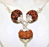 7,8 & 12 Mukhi Rudraksha Combination For (Founders & Businessmen) - Himalaya Rudraksha Anusandhan Kendra
