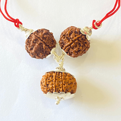7,8 & 13 Mukhi Rudraksha Combination For (sales executives/brokers/ traders) - Himalaya Rudraksha Anusandhan Kendra