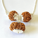 7,8 & 14 Mukhi Rudraksha Combination For (Brokers & Indsutrialists) - Himalaya Rudraksha Anusandhan Kendra