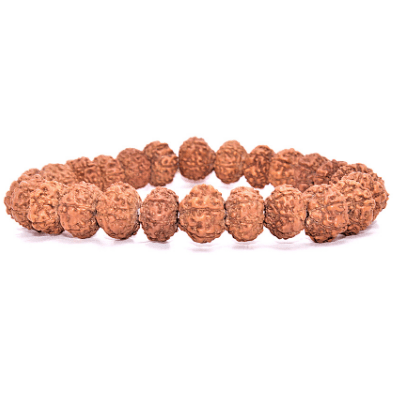 8 Mukhi Rudraksh Bracelet (Indonesian Origin) - Himalaya Rudraksha Anusandhan Kendra