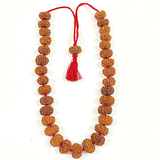 8 Mukhi Rudraksha Mala (Nepal Origin) - Himalaya Rudraksha Anusandhan Kendra