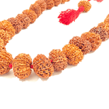 8 Mukhi Rudraksha Mala (Nepal Origin) - Himalaya Rudraksha Anusandhan Kendra