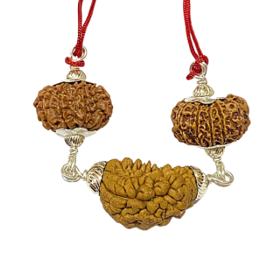 Laxmi Narayana Rudraksha 2024 Kavach