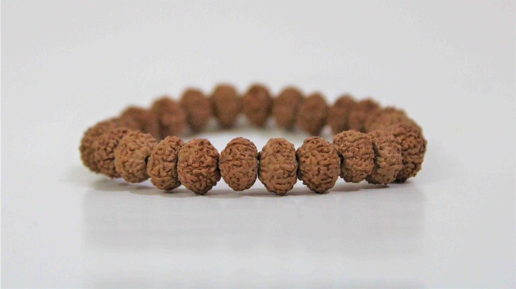 9 Mukhi Rudraksha Bracelet (Indonesian Origin) - Himalaya Rudraksha Anusandhan Kendra