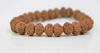 9 Mukhi Rudraksha Bracelet (Indonesian Origin) - Himalaya Rudraksha Anusandhan Kendra