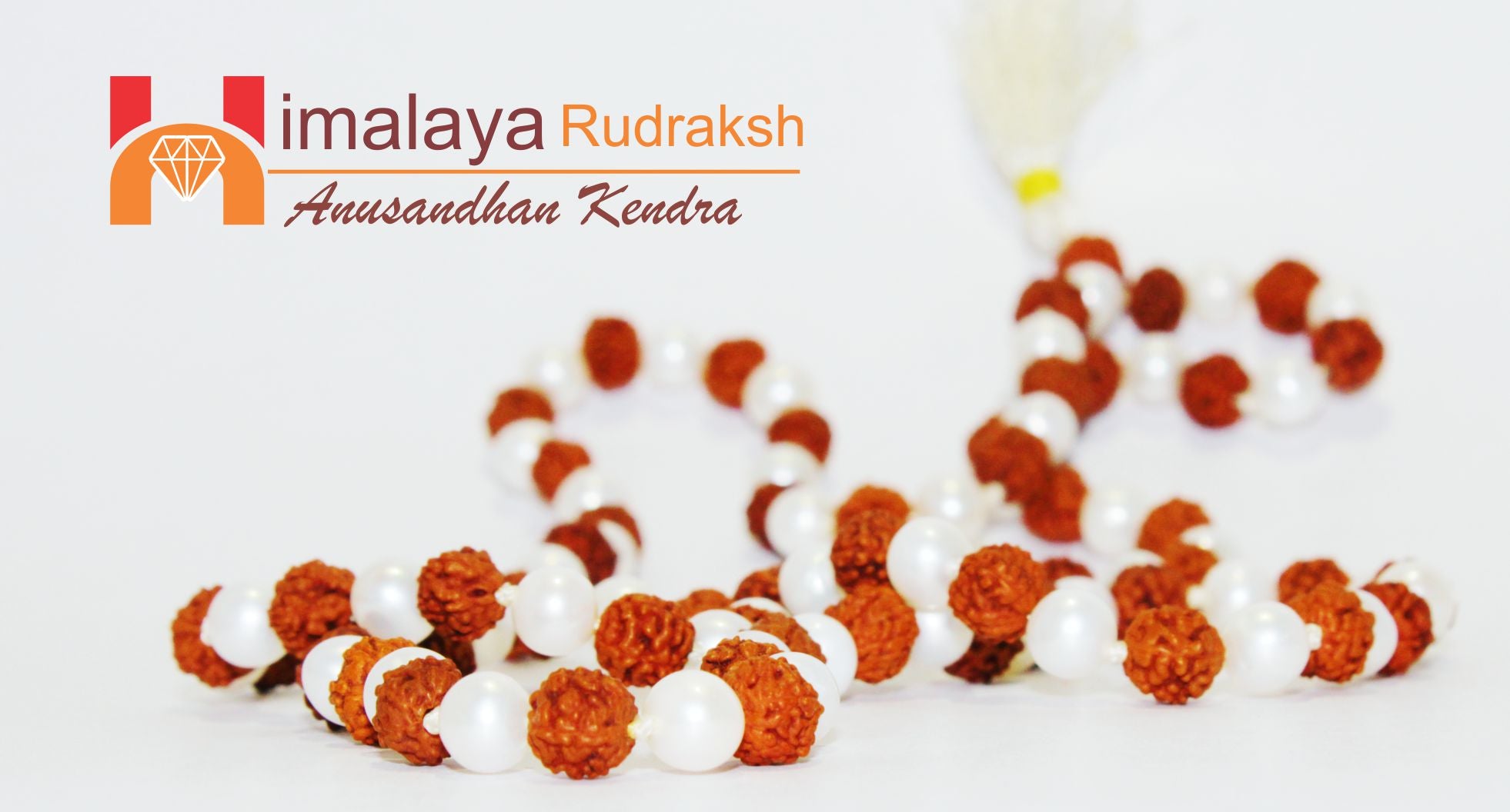 Natural Rudraksha Pearl Mala - himalaya rudraksha anusandhan kendra