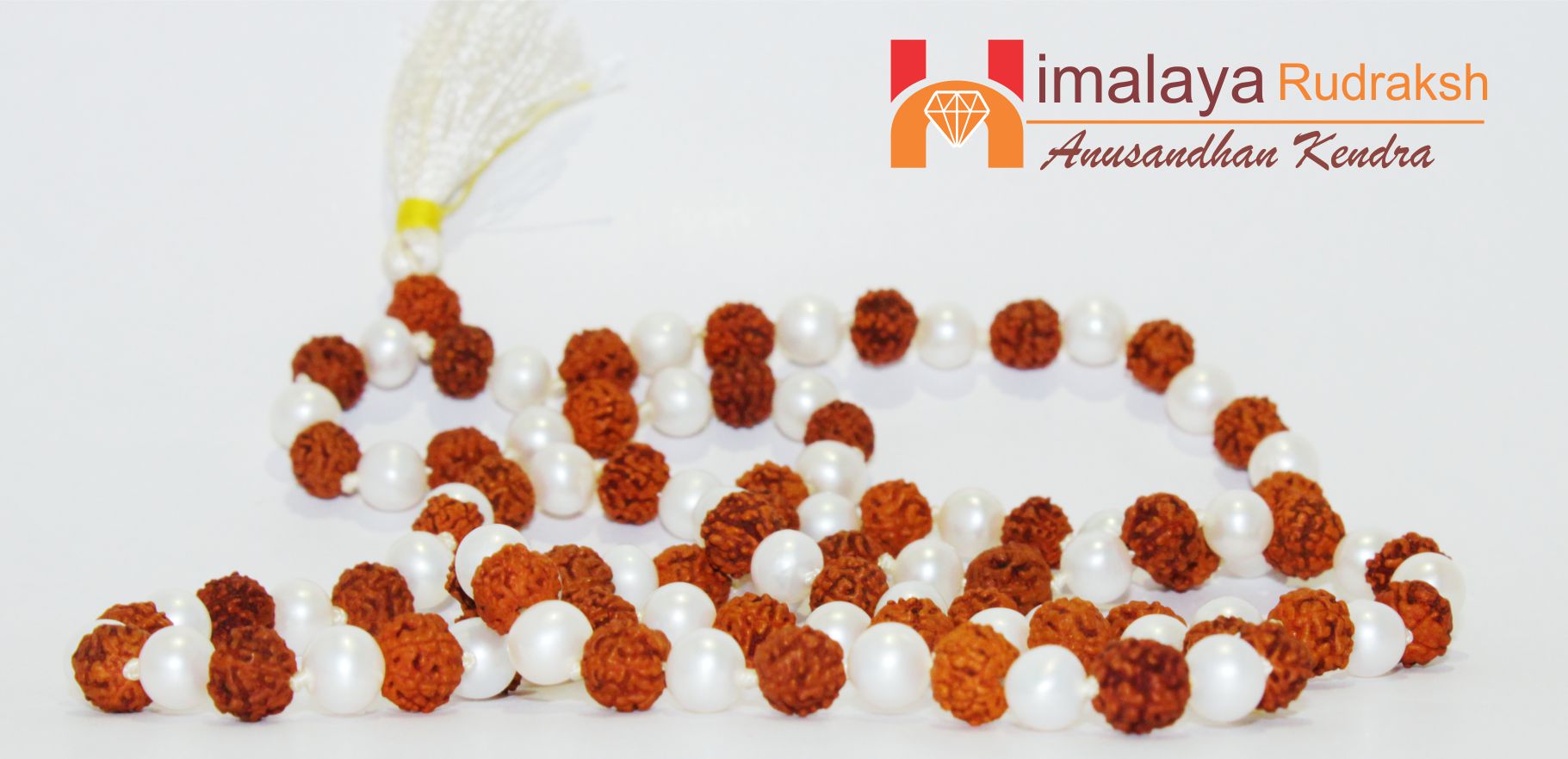 Natural Rudraksha Pearl Mala - himalaya rudraksha anusandhan kendra