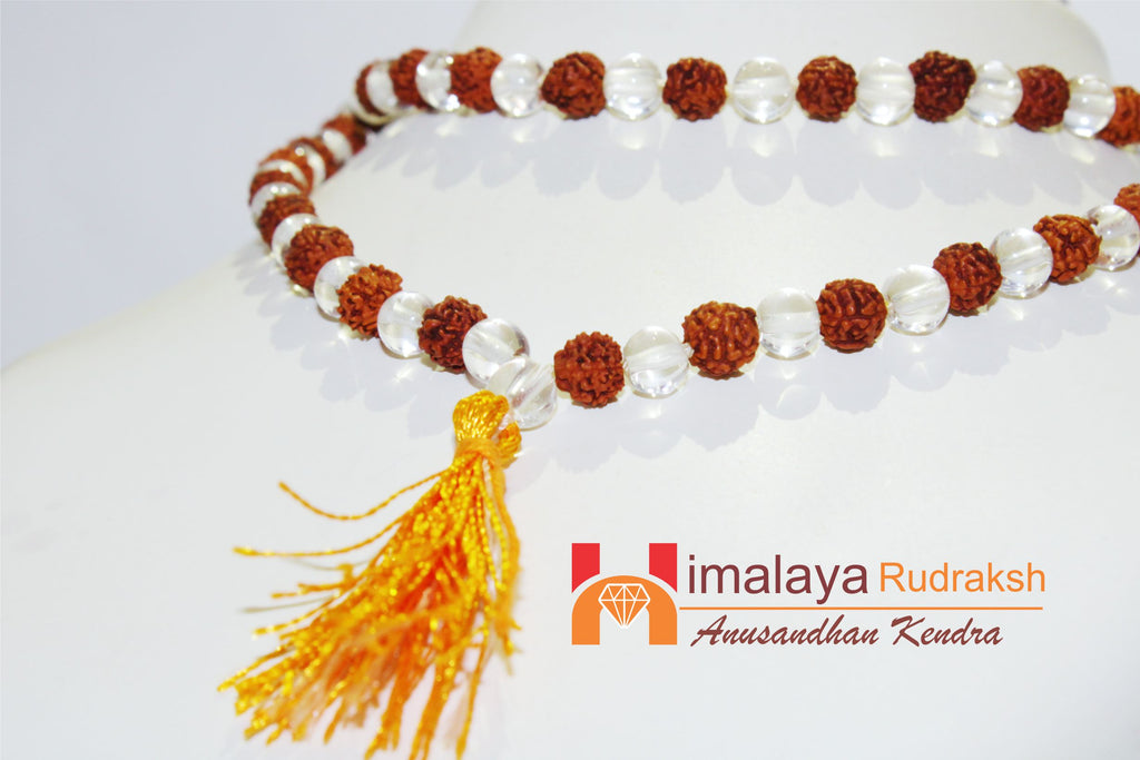 Natural Rudraksha Sphatik(quartz) Mala - himalaya rudraksha anusandhan kendra