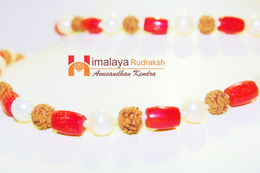 Pearl Rudraksha Coral Mala - himalaya rudraksha anusandhan kendra