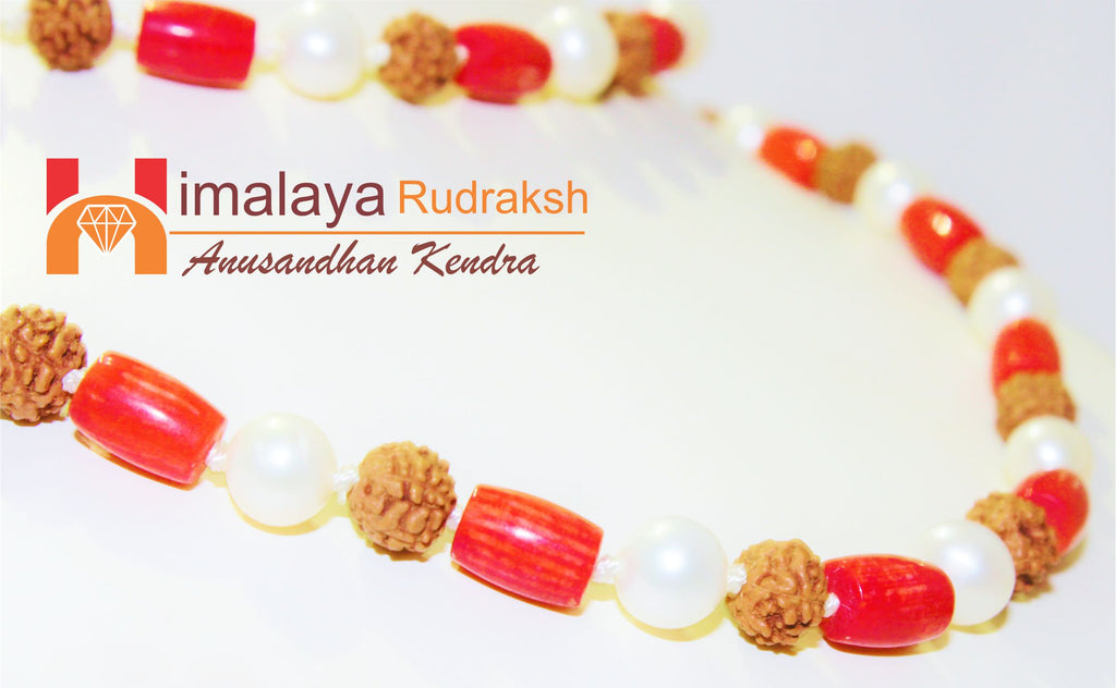 Pearl Rudraksha Coral Mala - himalaya rudraksha anusandhan kendra