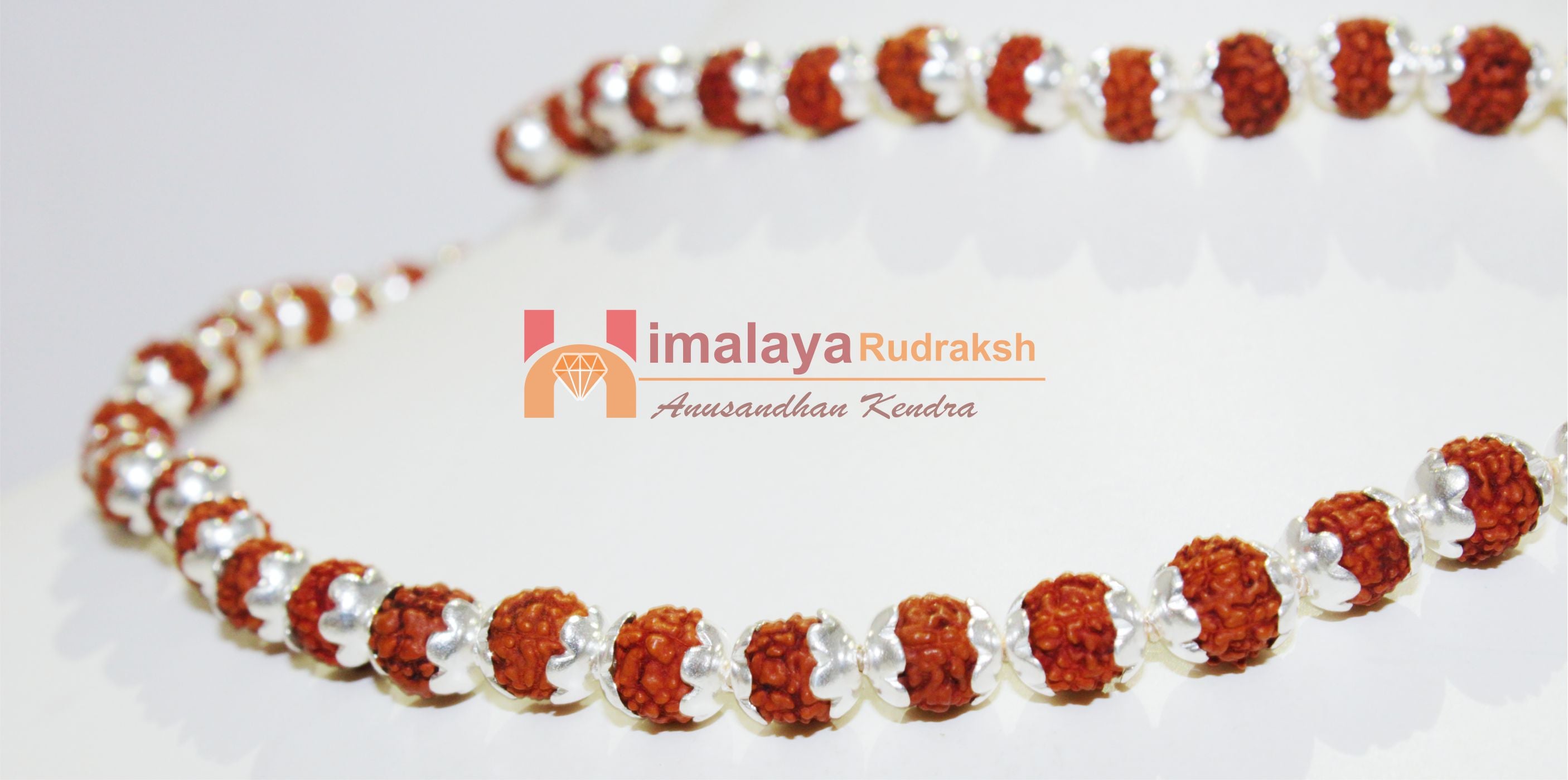 5 Mukhi Rudraksha Mala In Silver - himalaya rudraksha anusandhan kendra
