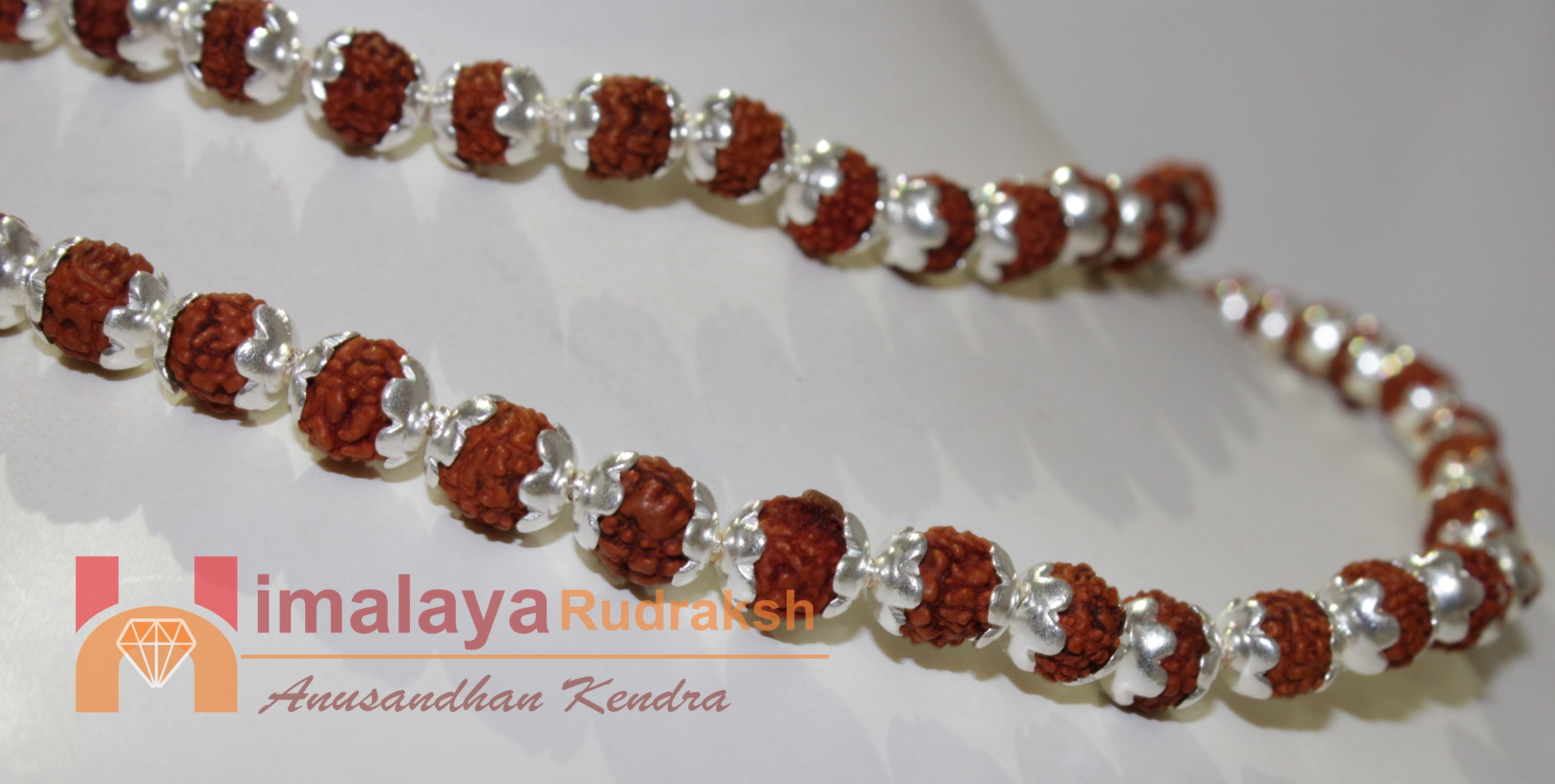 5 Mukhi Rudraksha Mala In Silver - himalaya rudraksha anusandhan kendra
