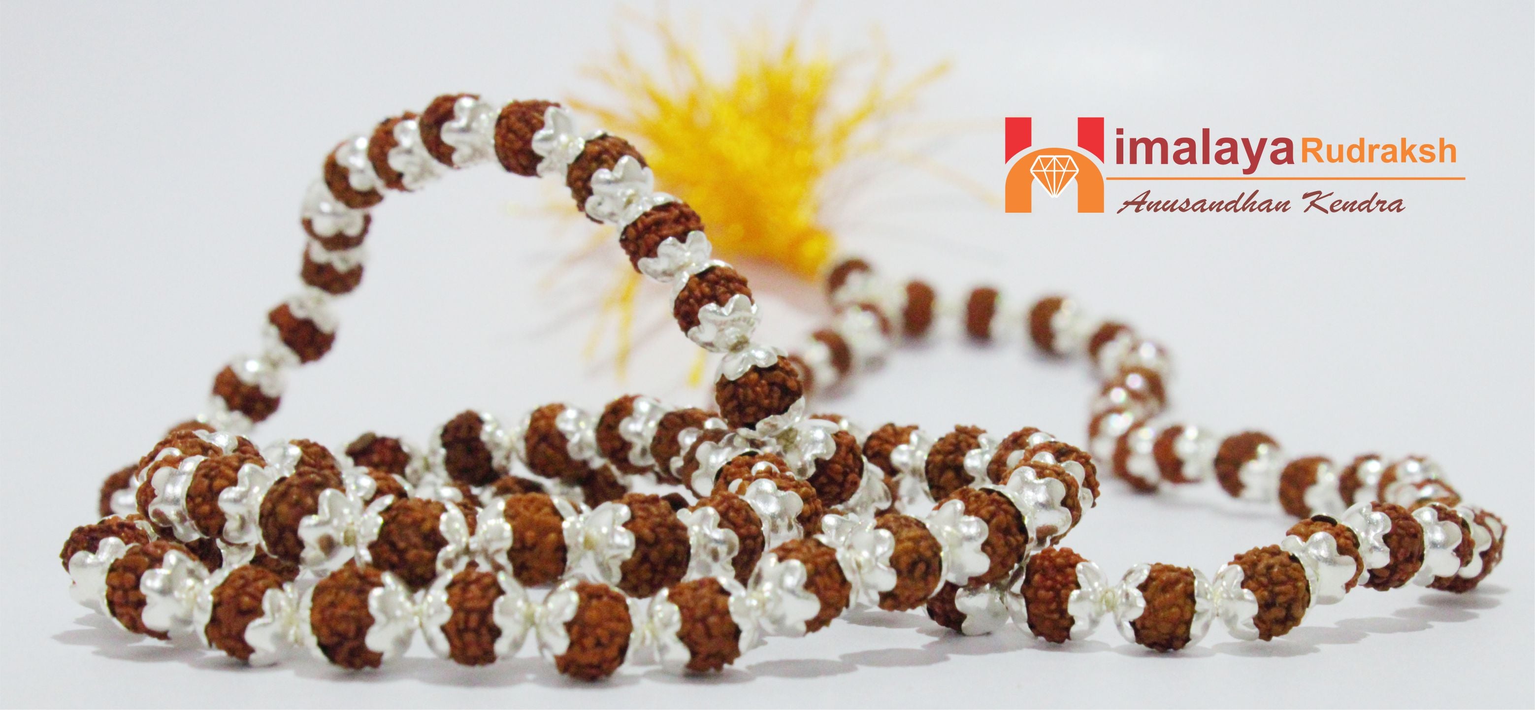 5 Mukhi Rudraksha Mala In Silver - himalaya rudraksha anusandhan kendra