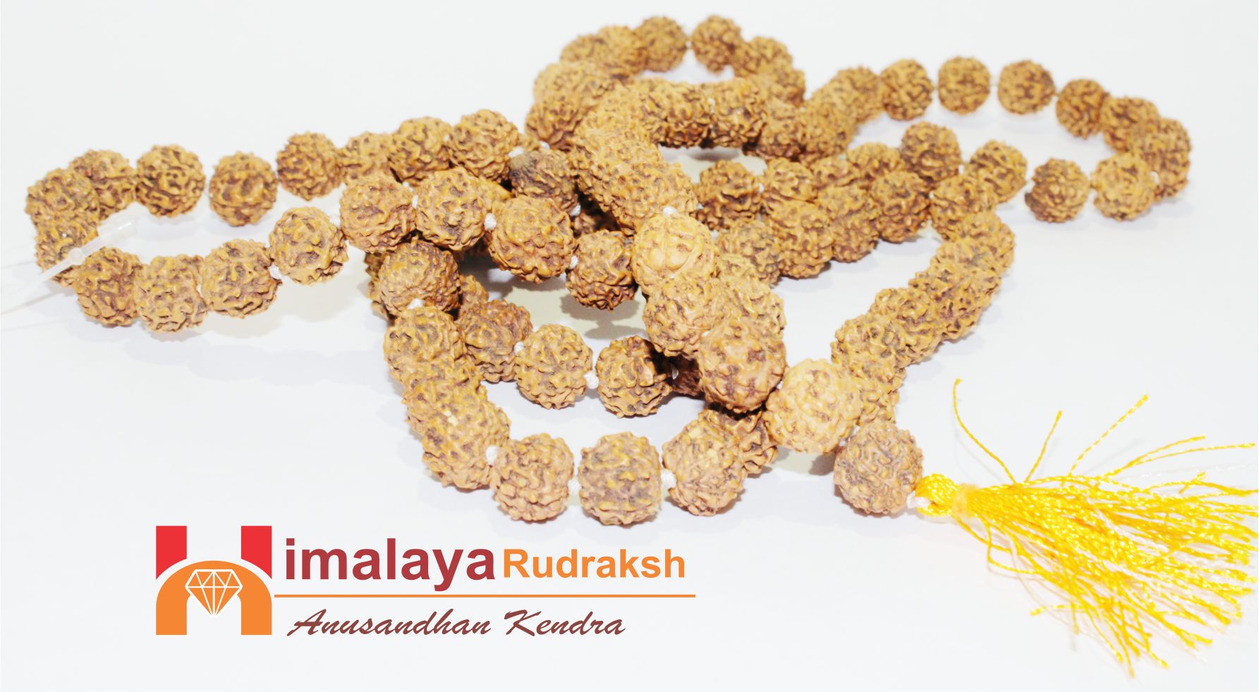 Natural 7 Mukhi/Face Rudraksh Mala - himalaya rudraksha anusandhan kendra