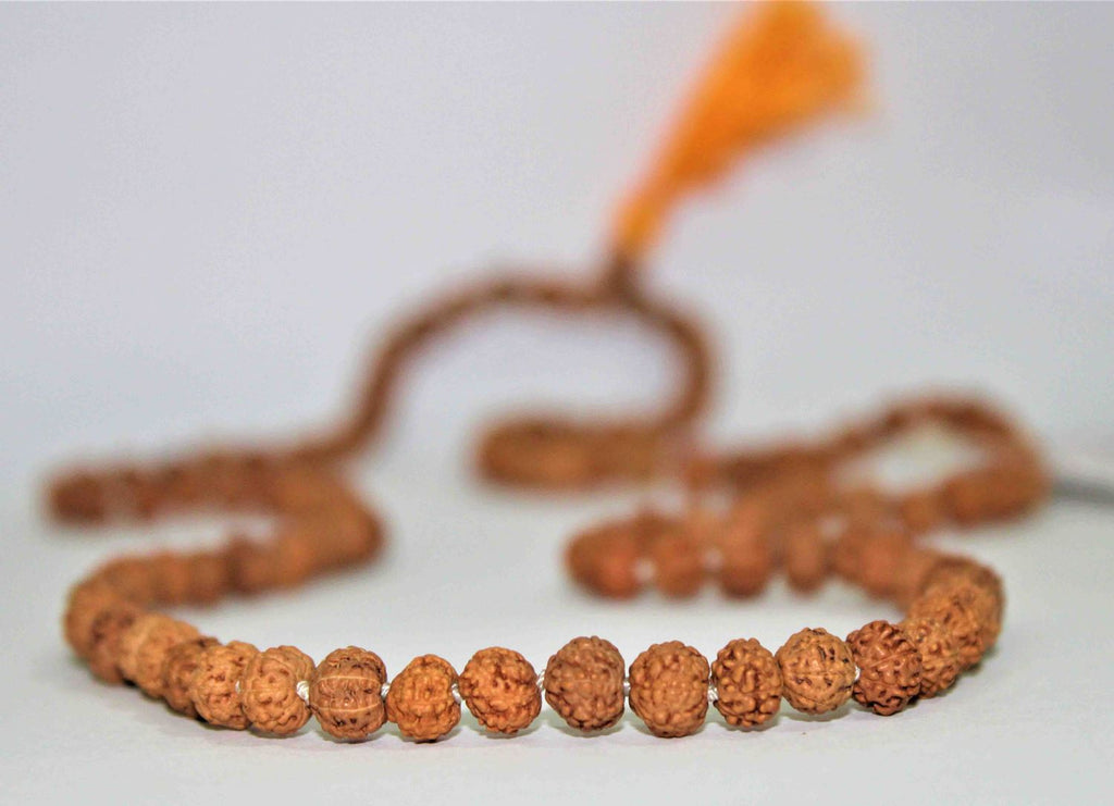Natural 7 Mukhi/Face Rudraksh Mala - himalaya rudraksha anusandhan kendra