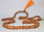Natural 7 Mukhi/Face Rudraksh Mala - himalaya rudraksha anusandhan kendra
