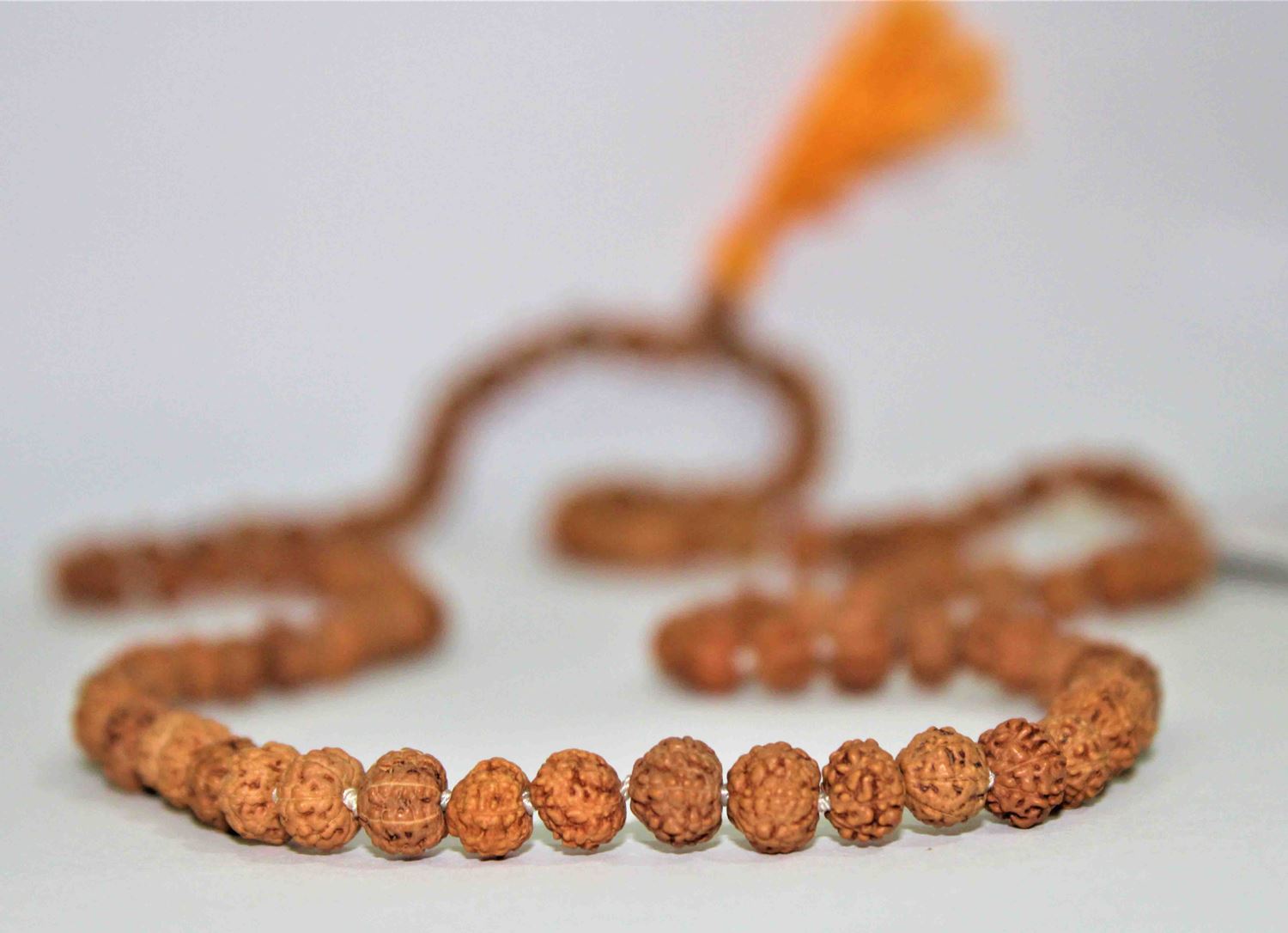 Natural 7 Mukhi/Face Rudraksh Mala - himalaya rudraksha anusandhan kendra