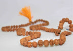 Natural 7 Mukhi/Face Rudraksh Mala - himalaya rudraksha anusandhan kendra