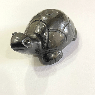Black Turtle (carved on natural shaligram) - Himalaya Rudraksha Anusandhan Kendra