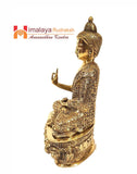 Buddha Statue - Himalaya Rudraksha Anusandhan Kendra