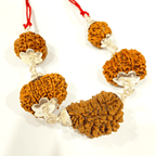 Cardio Relief Rudraksha Kawach - Himalaya Rudraksha Anusandhan Kendra