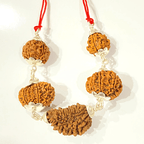 Cardio Relief Rudraksha Kawach - Himalaya Rudraksha Anusandhan Kendra