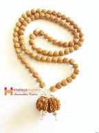 Divy Gaurishankar Rudraksha Mala - Himalaya Rudraksha Anusandhan Kendra