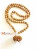 Divy Gaurishankar Rudraksha Mala - Himalaya Rudraksha Anusandhan Kendra