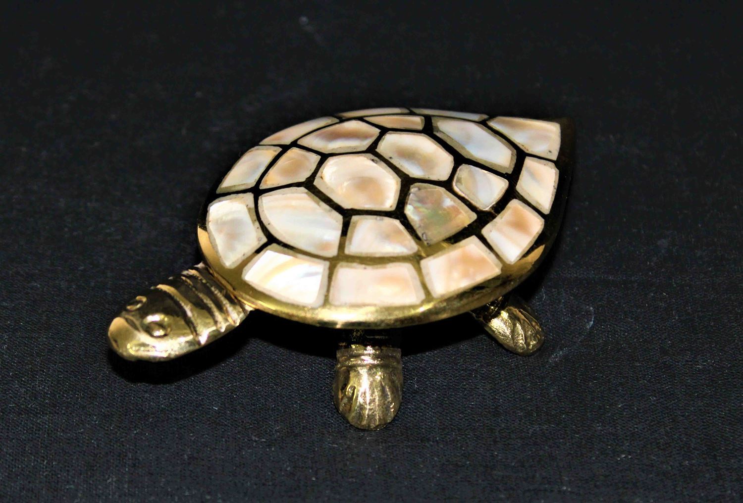 Divy Icchapurti Kachua (turtle) - Himalaya Rudraksha Anusandhan Kendra