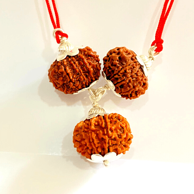 Evil Protection Rudraksha Kawach - Himalaya Rudraksha Anusandhan Kendra
