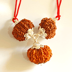 Evil Protection Rudraksha Kawach - Himalaya Rudraksha Anusandhan Kendra