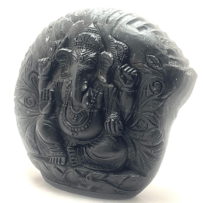 Ganesha Carved Shaligram - Himalaya Rudraksha Anusandhan Kendra