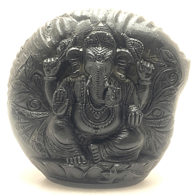 Ganesha Carved Shaligram - Himalaya Rudraksha Anusandhan Kendra