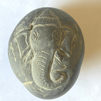 Ganesha Shaligram (285 gm) - Himalaya Rudraksha Anusandhan Kendra