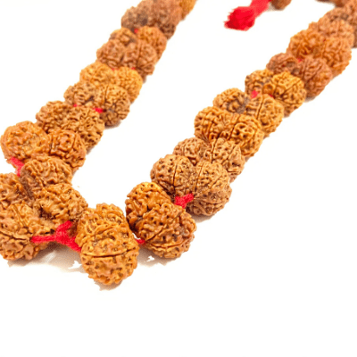 Gaurishankar Rudraksha Kantha (Nepal Origin) - Himalaya Rudraksha Anusandhan Kendra