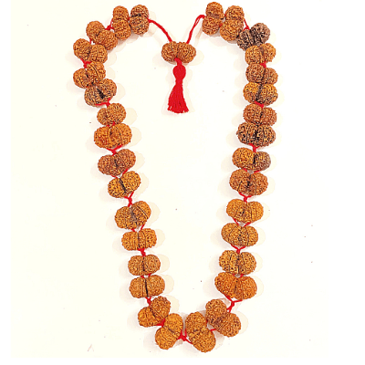 Gaurishankar Rudraksha Kantha (Nepal Origin) - Himalaya Rudraksha Anusandhan Kendra