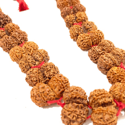 Gaurishankar Rudraksha Kantha (Nepal Origin) - Himalaya Rudraksha Anusandhan Kendra