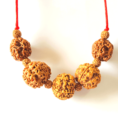 Health Rudraksha Kawach - Himalaya Rudraksha Anusandhan Kendra