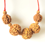 Health Rudraksha Kawach - Himalaya Rudraksha Anusandhan Kendra
