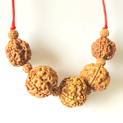 Health Rudraksha Kawach - Himalaya Rudraksha Anusandhan Kendra