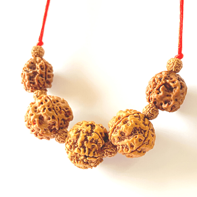 Health Rudraksha Kawach - Himalaya Rudraksha Anusandhan Kendra