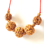 Health Rudraksha Kawach - Himalaya Rudraksha Anusandhan Kendra
