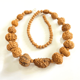 Indonesian 1 - 14 Mukhi Rudraksha Bracelet - Himalaya Rudraksha Anusandhan Kendra